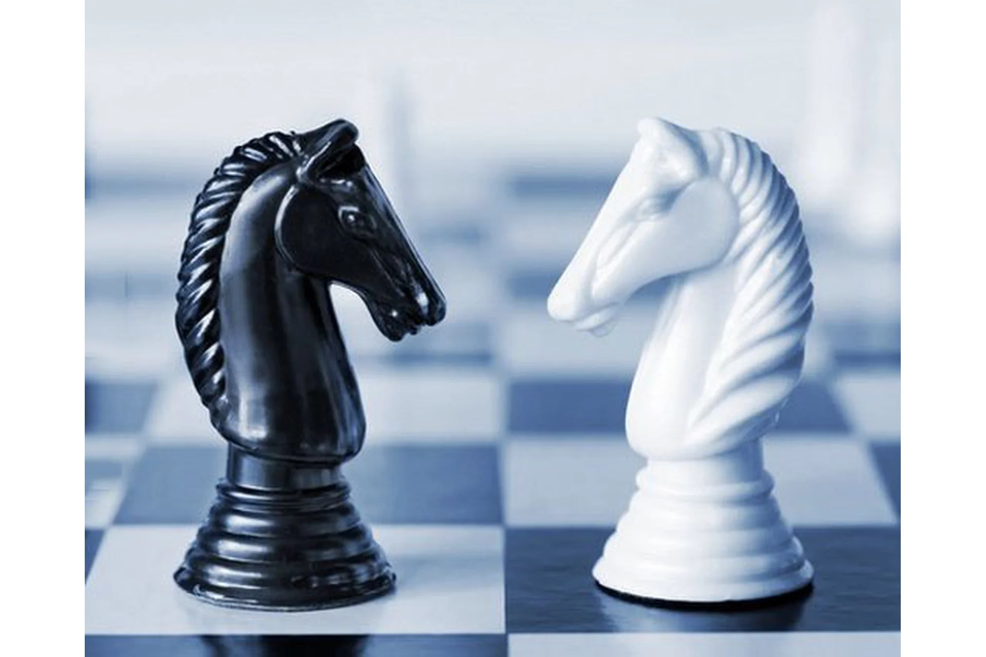 Мастер коммуникации. 2019 (Егор Булыгин), фото 1 из 1.