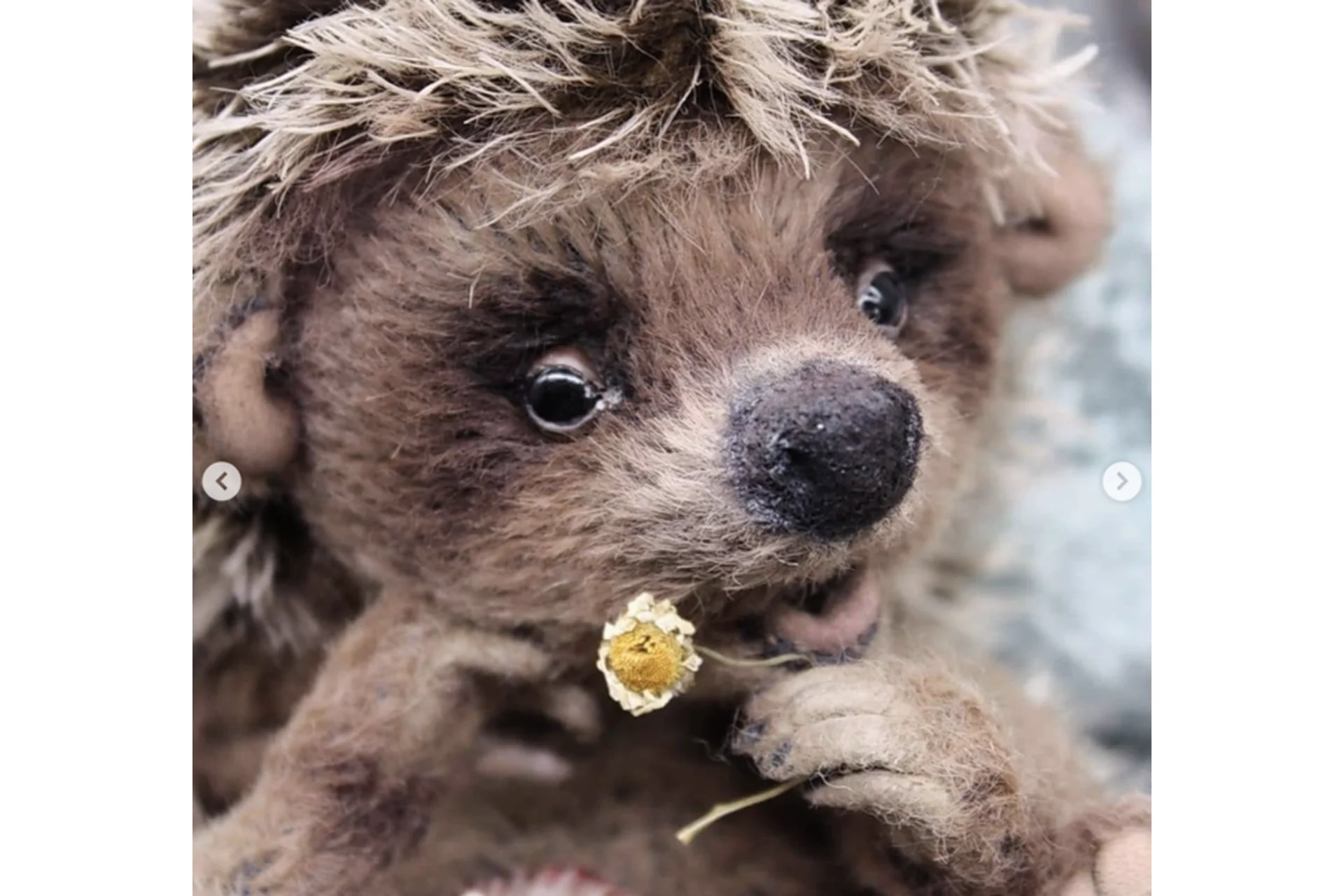 Подвижный Ёжик (Светлана Каракулева), фото 1 из 1.