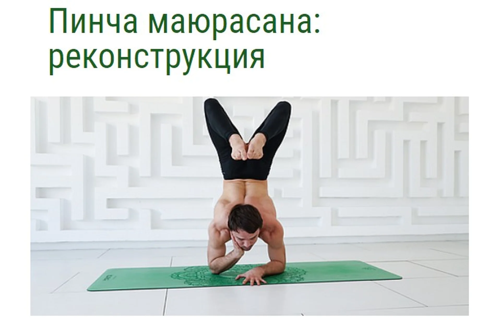 [YantaYoga] Пинча маюрасана: реконструкция (Кирилл Калуцких, Михаил Швецов), фото 1 из 1.