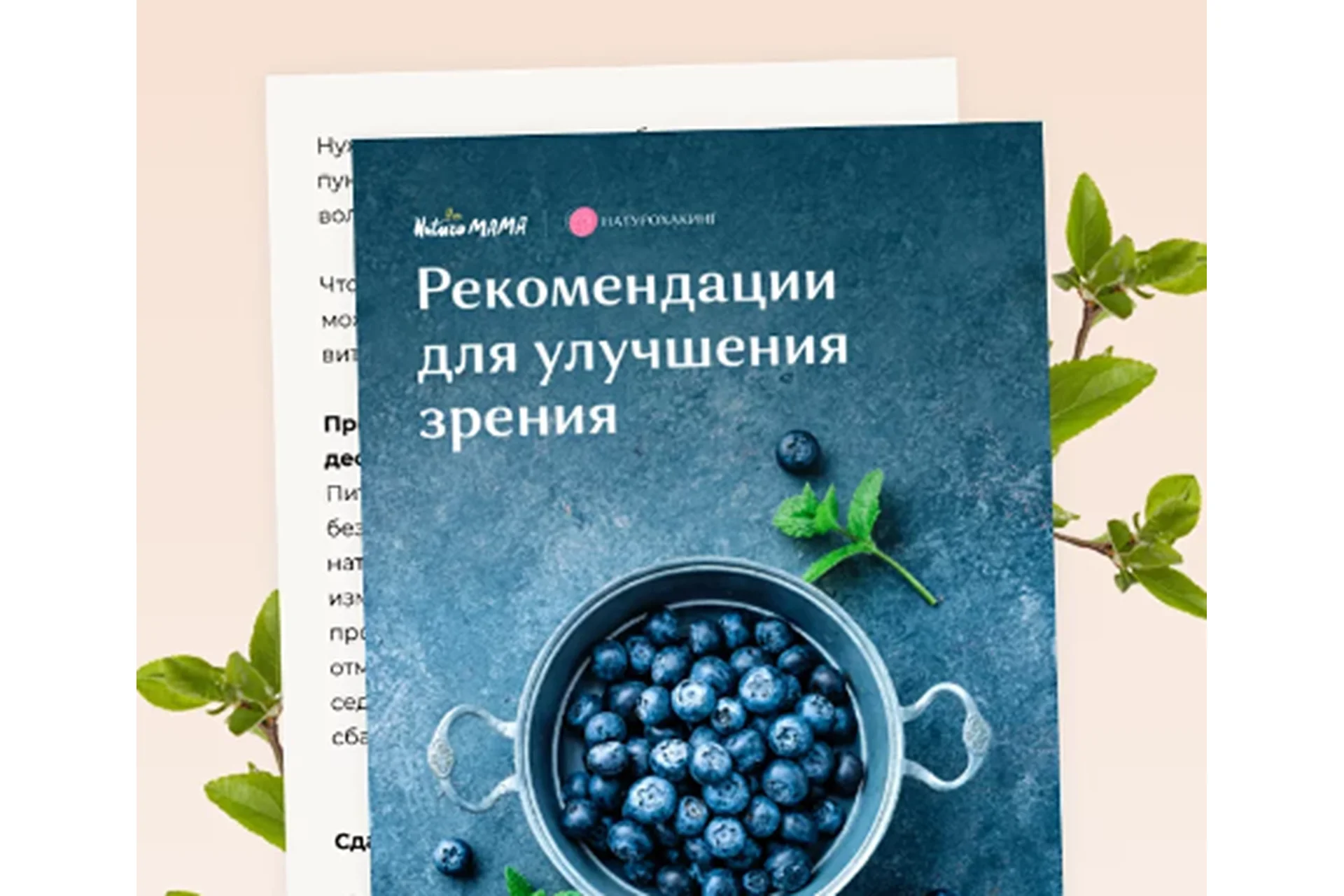 Протокол для улучшения зрения (Вероника Хуснутдинова), фото 1 из 1.