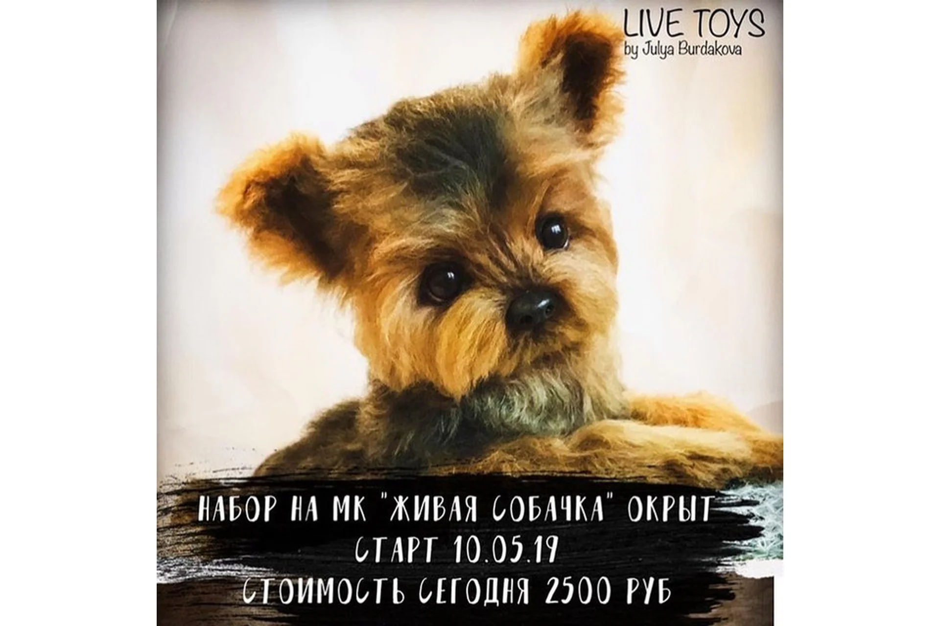 Живая собачка (Юлия Бурдакова), фото 1 из 1.