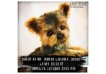 Живая собачка (Юлия Бурдакова)