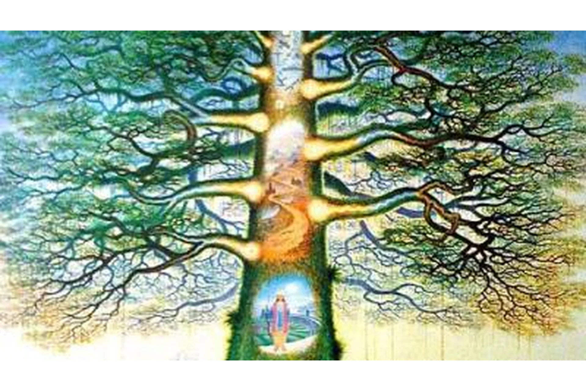 Изменение негативной родовой денежной программы (Сергей Лазарев), фото 1 из 1.