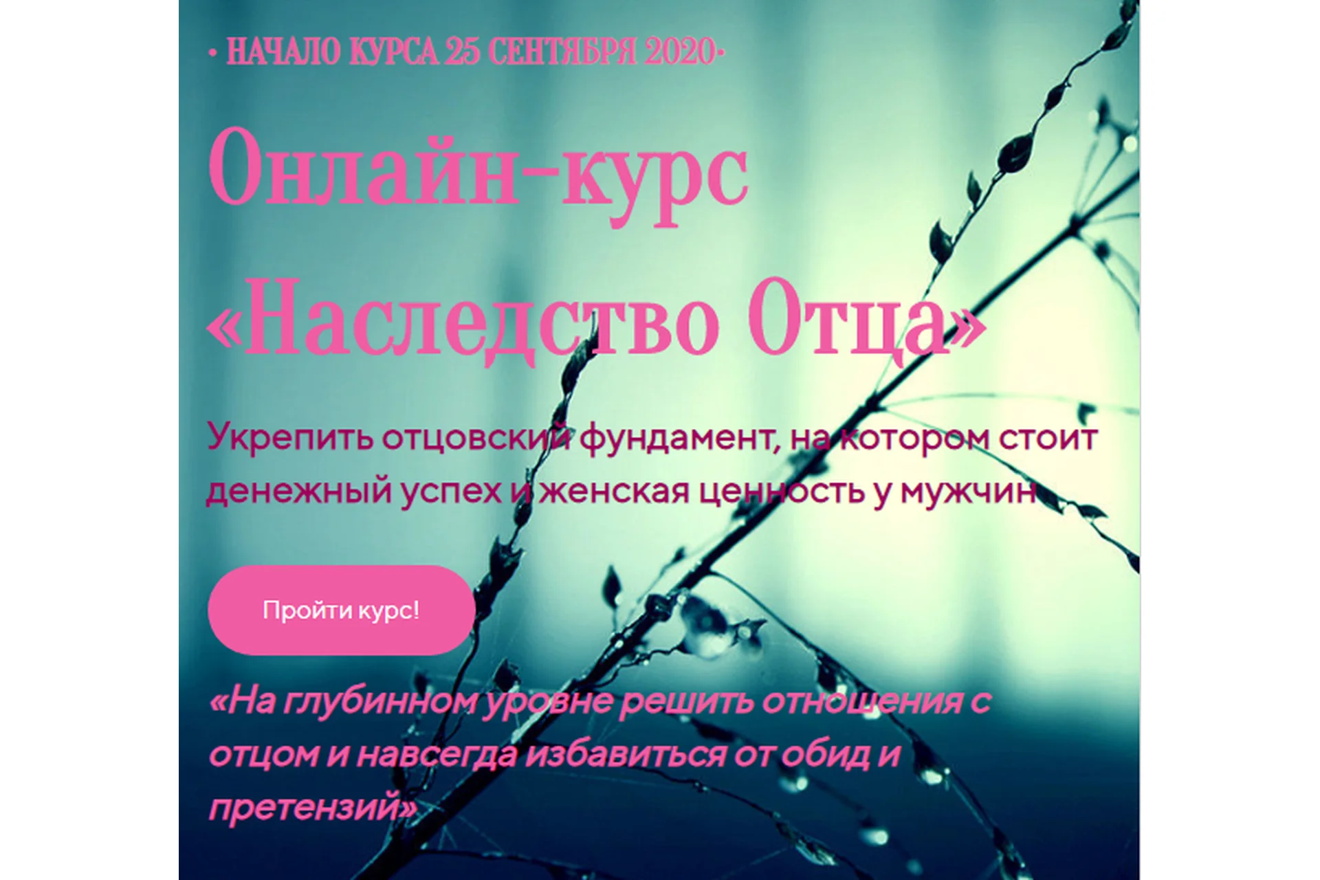 Наследство отца. Сентябрь 2020 (Лилия Четверикова), фото 1 из 1.