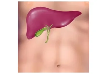 Коррекция желчного пузыря (Юджиния Квант)