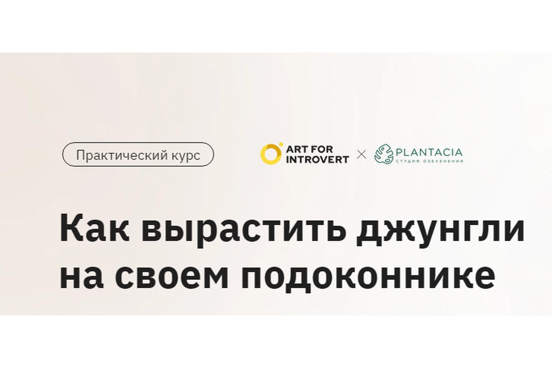 [Правое полушарие Интроверта] Как вырастить джунгли на своем подоконнике (Елена Лейн), фото 1 из 1.