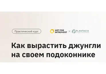 [Правое полушарие Интроверта] Как вырастить джунгли на своем подоконнике (Елена Лейн)
