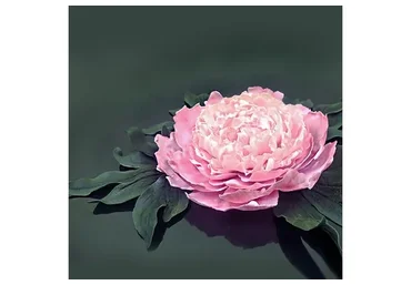 Пион из пластичного шоколада (Елена Чуприна)