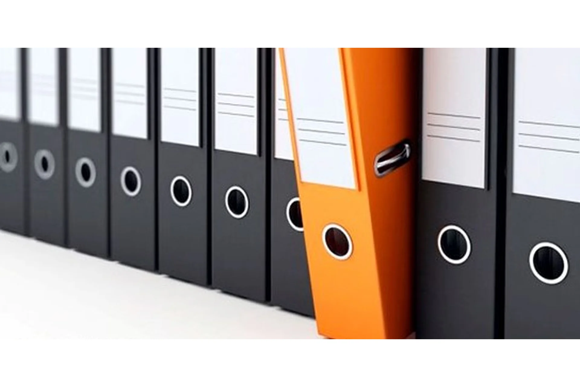 [Специалист] Делопроизводство. Документационное обеспечение управления (Гульнара Шишкина), фото 1 из 1.