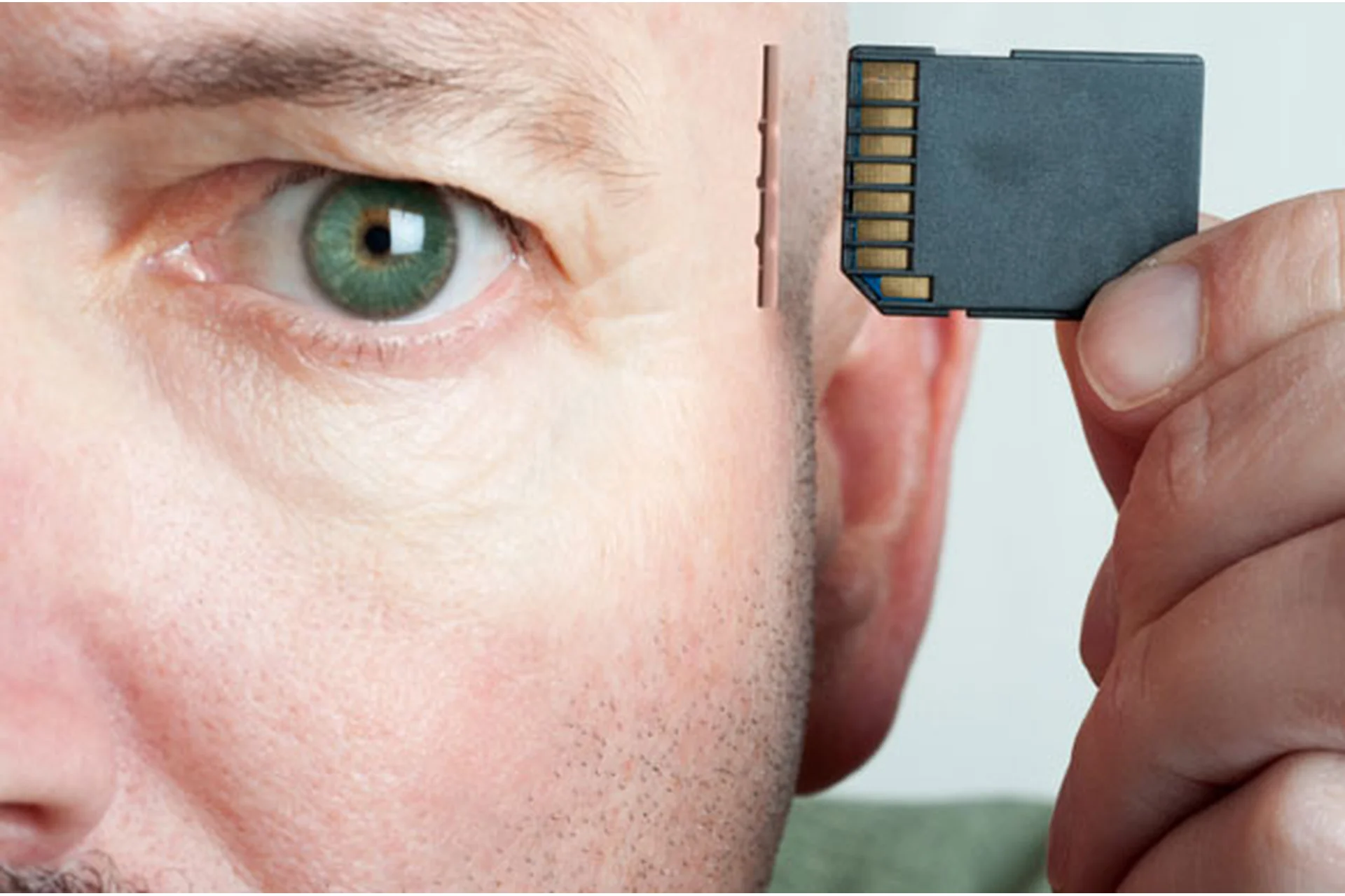 Абсолютная память за 5 дней (Евгений Карташов), фото 1 из 1.