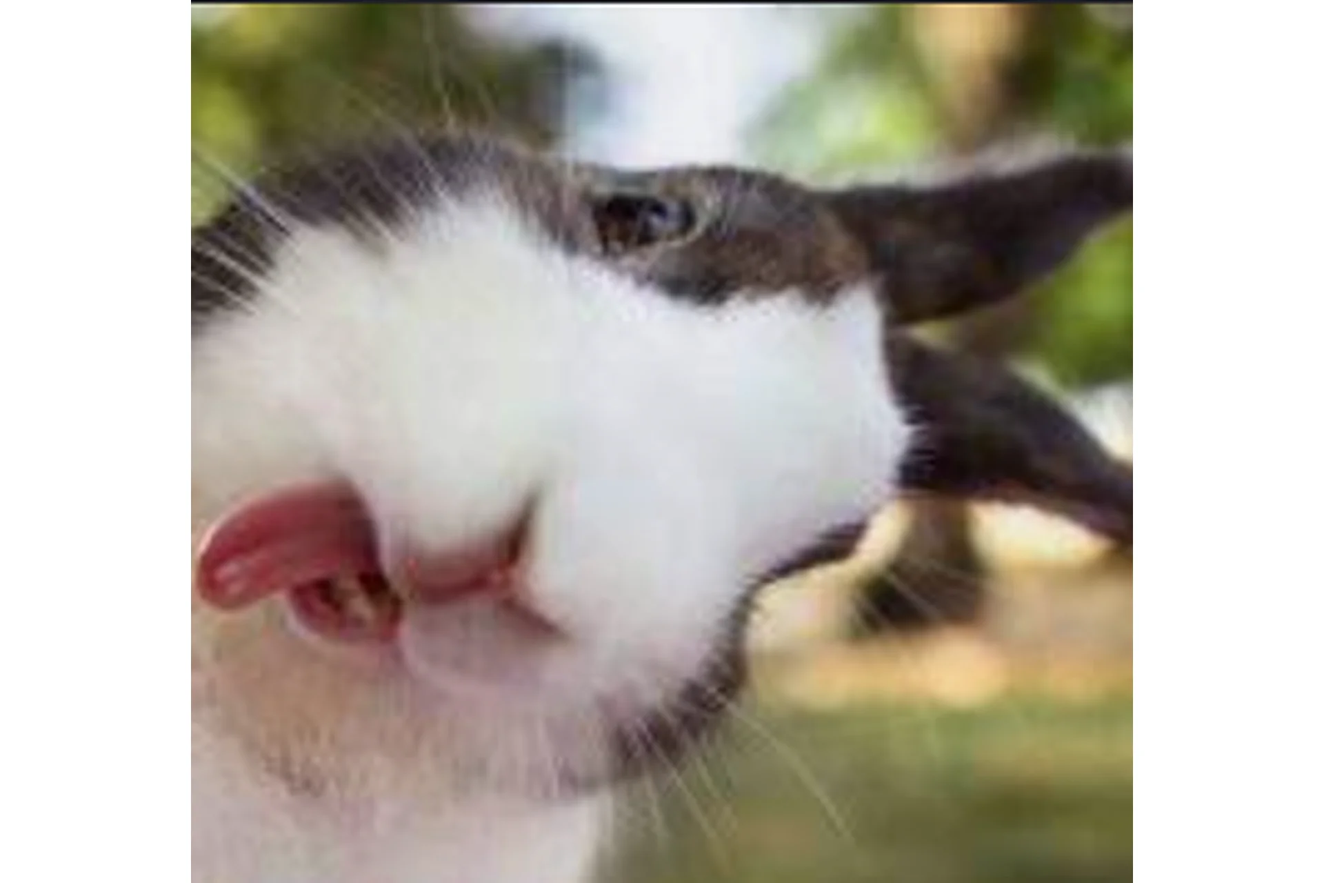 Самооценка: как выковать стальные яйца (Филипп Богачёв), фото 1 из 1.