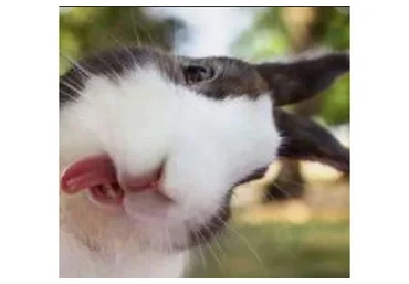 Самооценка: как выковать стальные яйца (Филипп Богачёв)