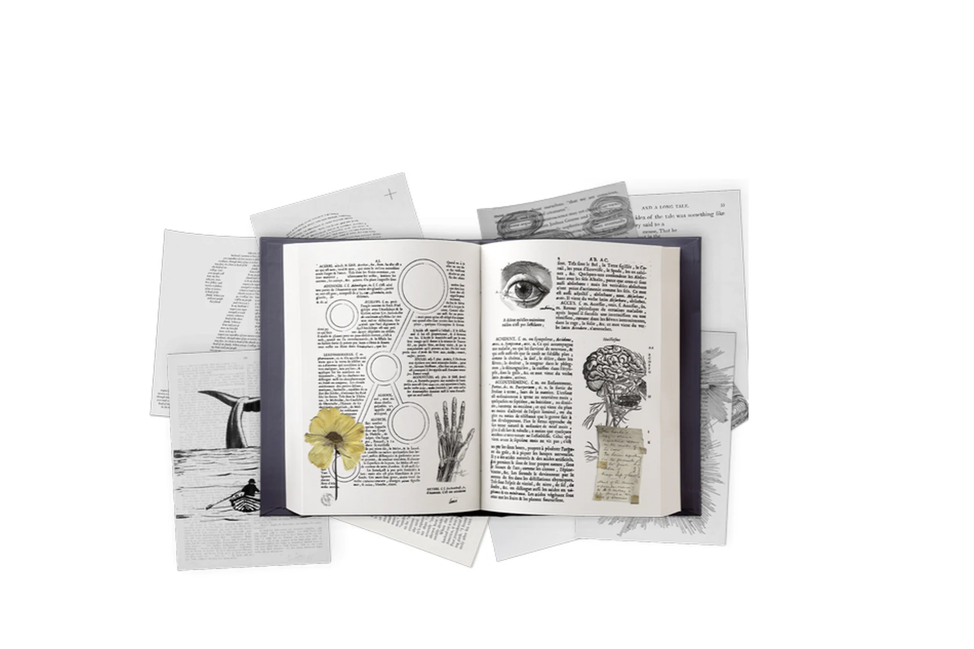 Нейротексты. Тариф «Эконом»  (Татьяна Зарецкая), фото 1 из 1.