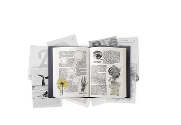 Нейротексты. Тариф «Эконом»  (Татьяна Зарецкая)