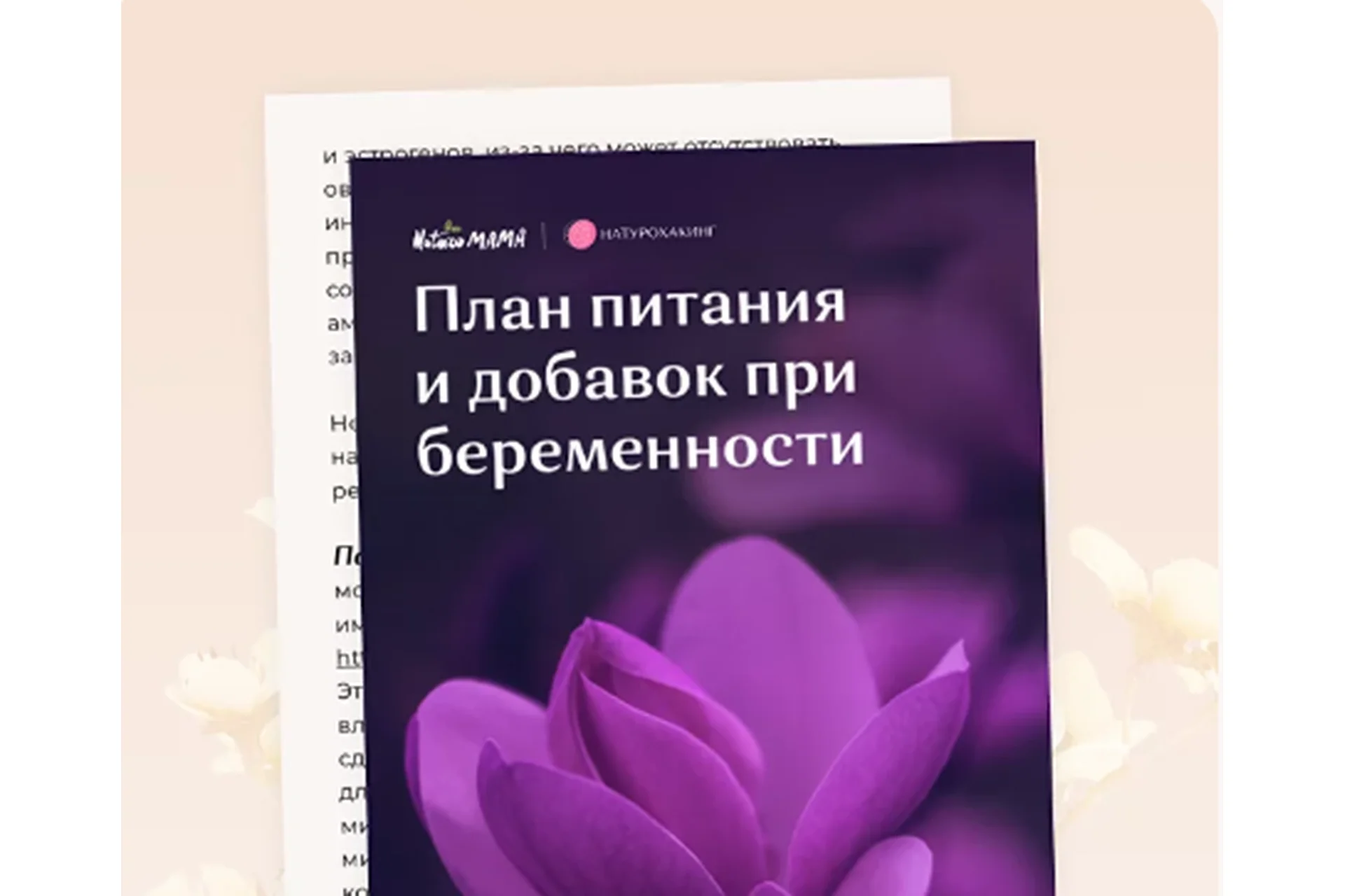 Рекомендации при подготовке к беременности и в течение самой беременности (Вероника Хуснутдинова), фото 1 из 1.
