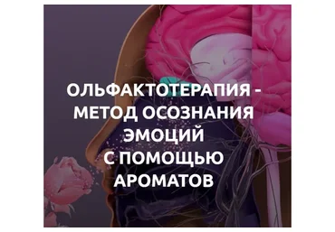 Ольфактотерапия-метод осознания эмоций с помощью ароматов. 1 ступень (Алла Позняк)