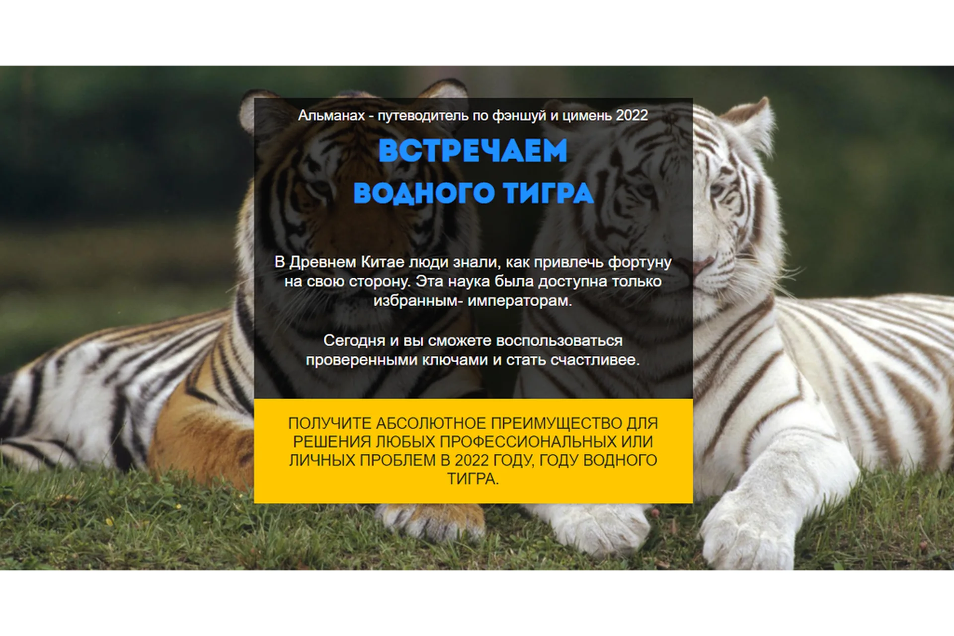 Путеводитель Фэншуй и Ци Мень. год Водного Тигра 2022. Тариф «ВИП» (Нинель Смолина), фото 1 из 1.