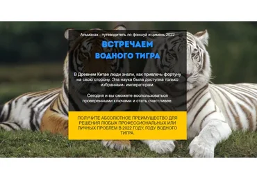 Путеводитель Фэншуй и Ци Мень. год Водного Тигра 2022. Тариф «ВИП» (Нинель Смолина)