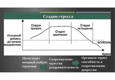 Доступная кинезиология I. Баланс эмоций. Тариф без личной консультации (Максим Мальцев)