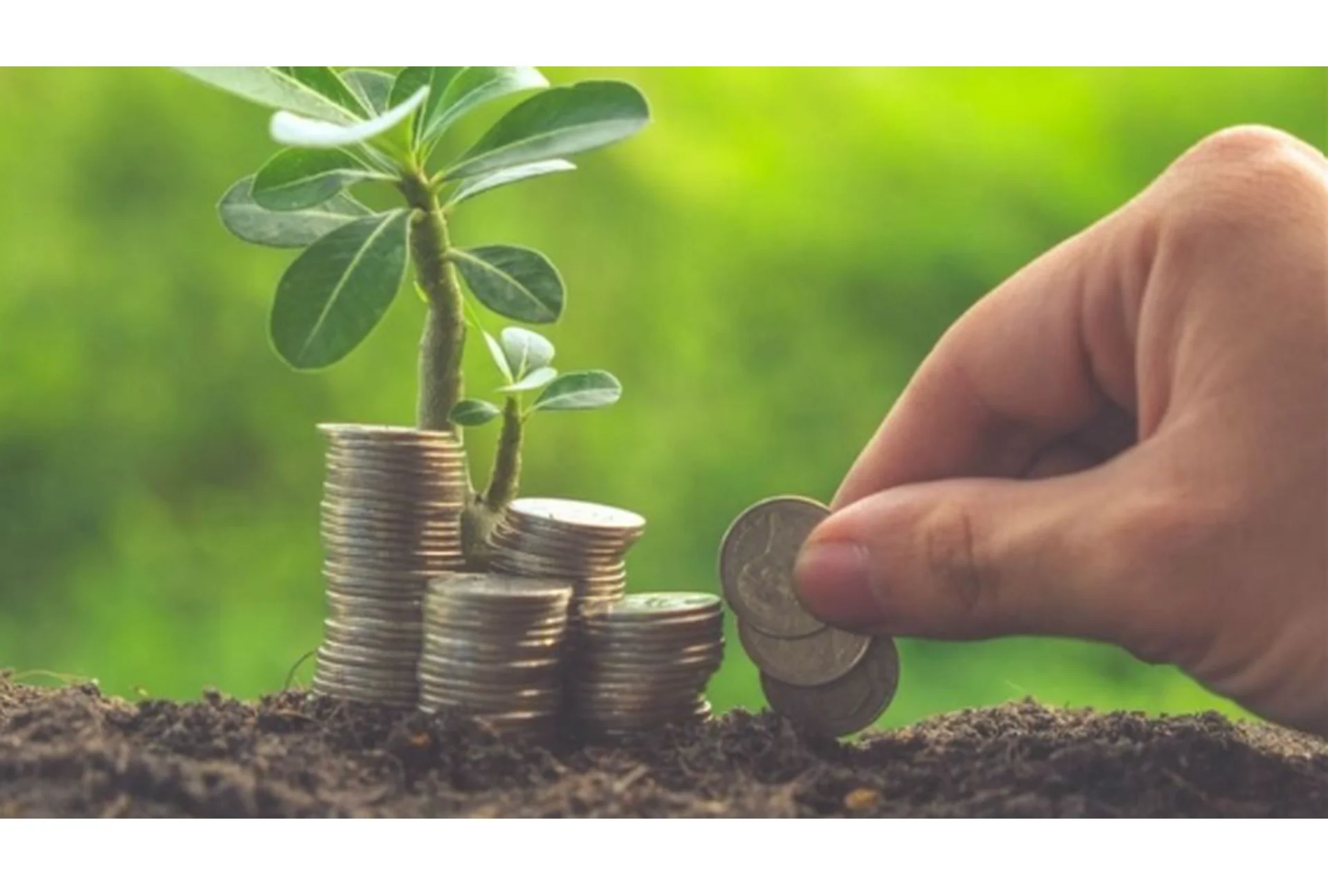 Разгон депозита со скоростью света. Прибыльный тренинг на ФОРТС (Михаил Левченко), фото 1 из 1.