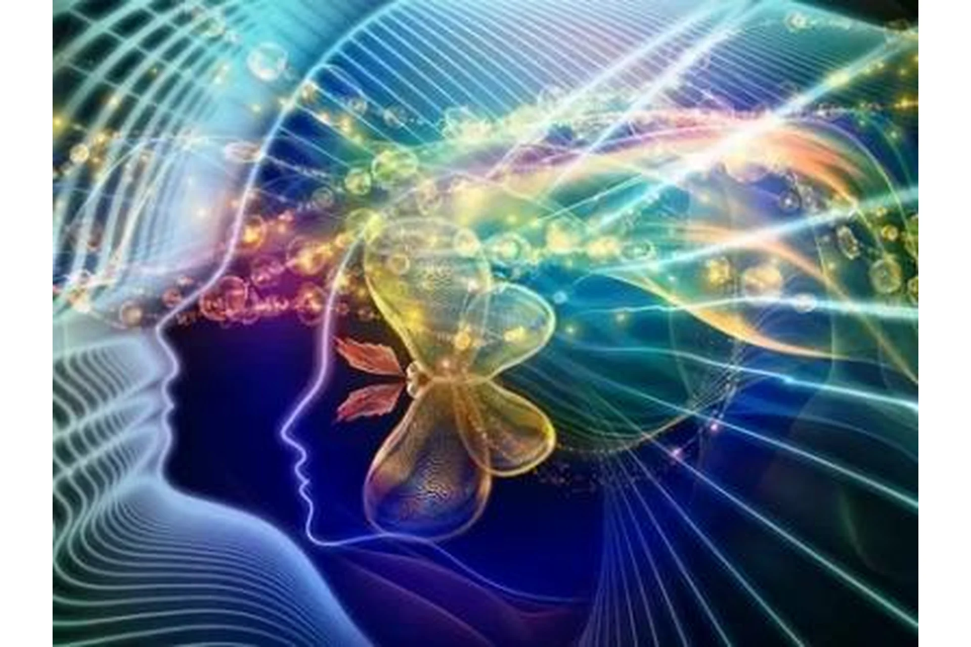 Расширяем свои возможности в тета хилинг (Людмила Зверкова), фото 1 из 1.