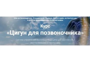Здоровый позвоночник. Лечебно-восстановительный комплекс, блок PRO (Владимир Осипов)