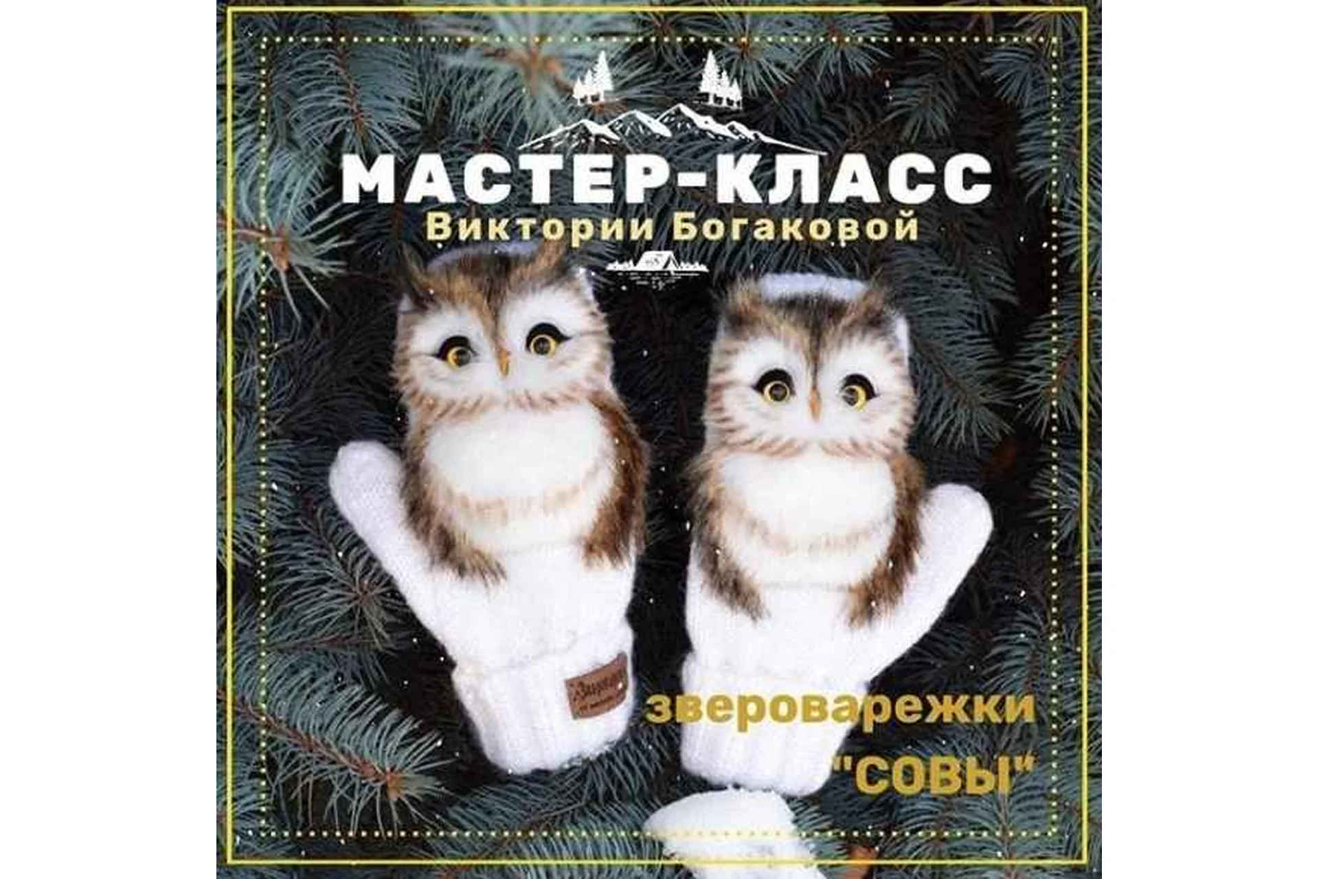 Звероварежки Совы (Виктория Богакова), фото 1 из 1.