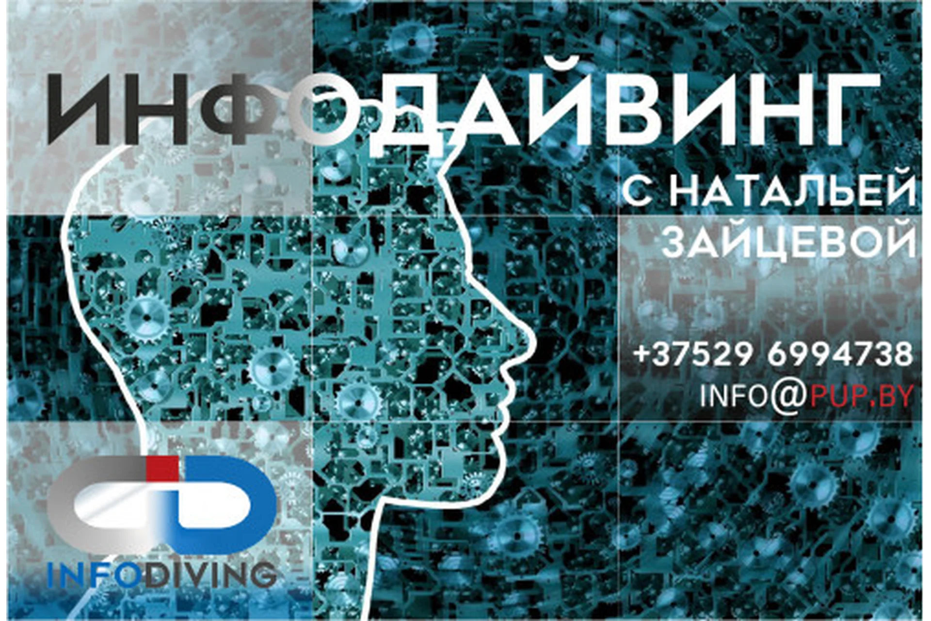 Основы инфодайвинга - практикум (Наталья Зайцева), фото 1 из 1.