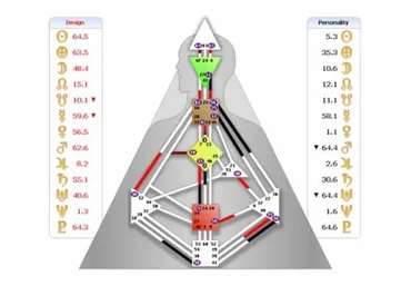 Дизайн человека - Дрим Рейв (Бина Репнина, Паринама Репнин)