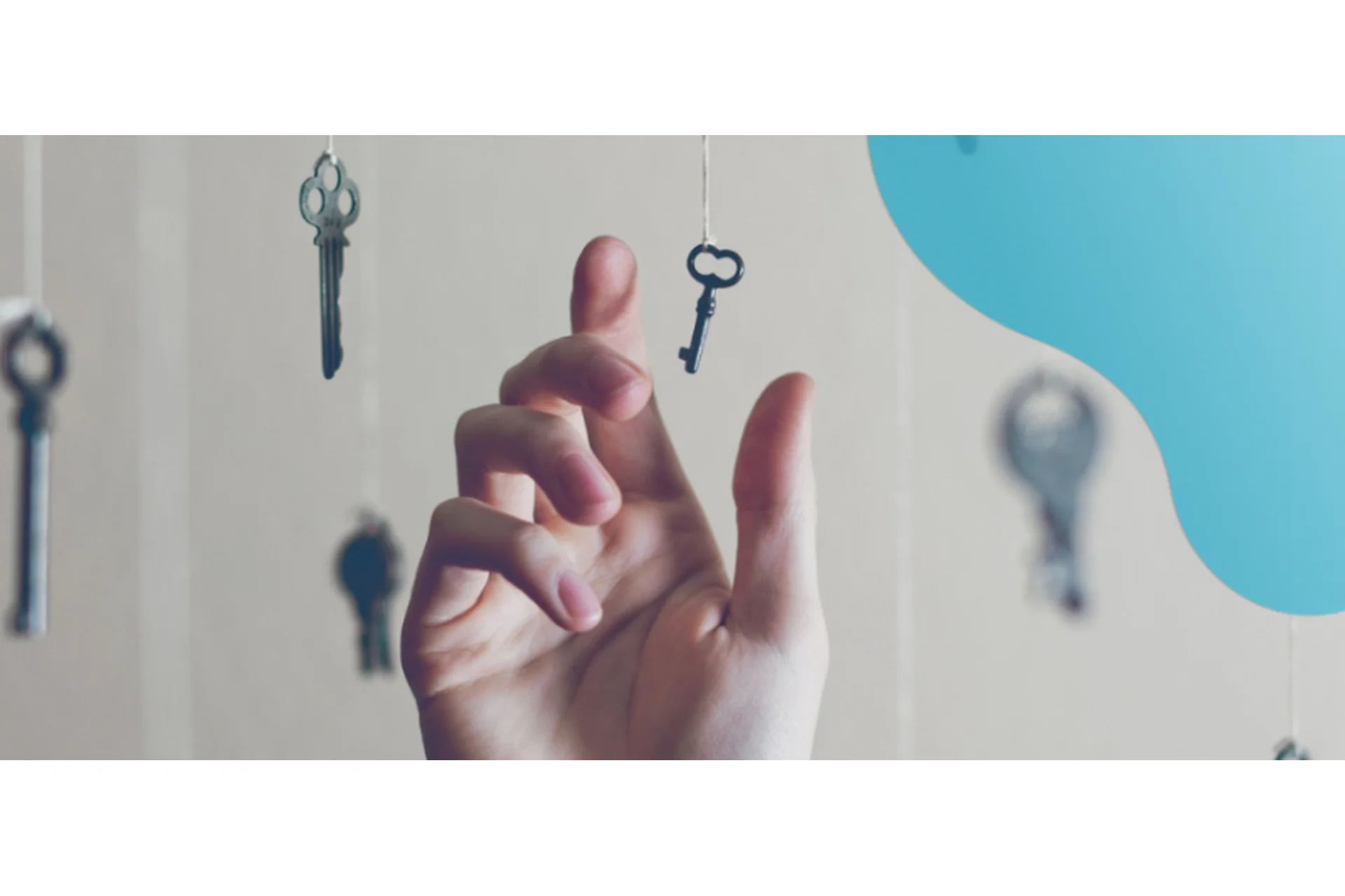 Игра в жизнь (Ксения Мессинг), фото 1 из 1.