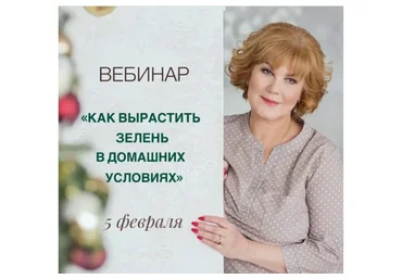 Как вырастить зелень в домашних условиях (za_larisa)