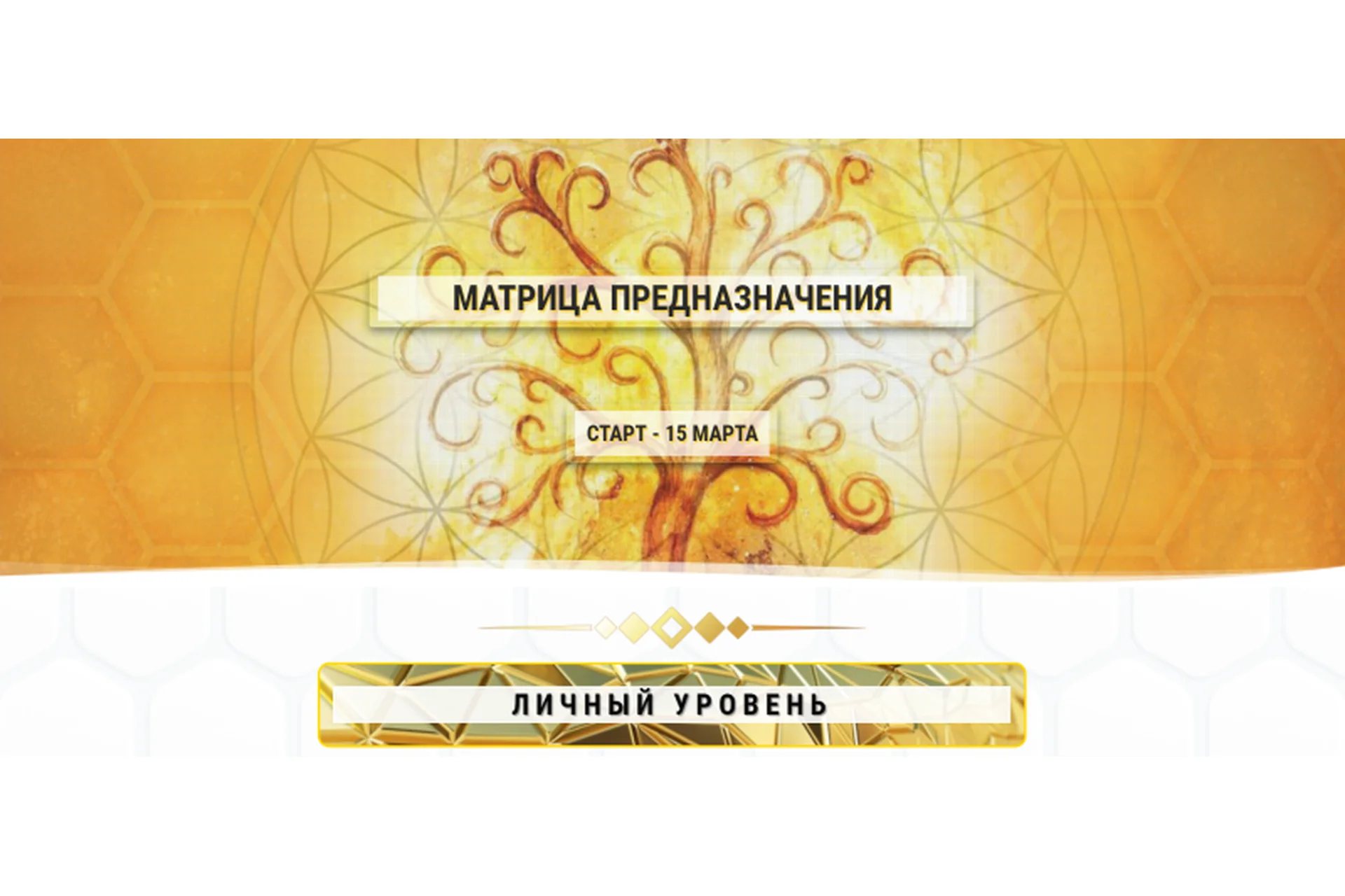 Матрица предназначения. Личный уровень (Ольга Кaруна), фото 1 из 1.