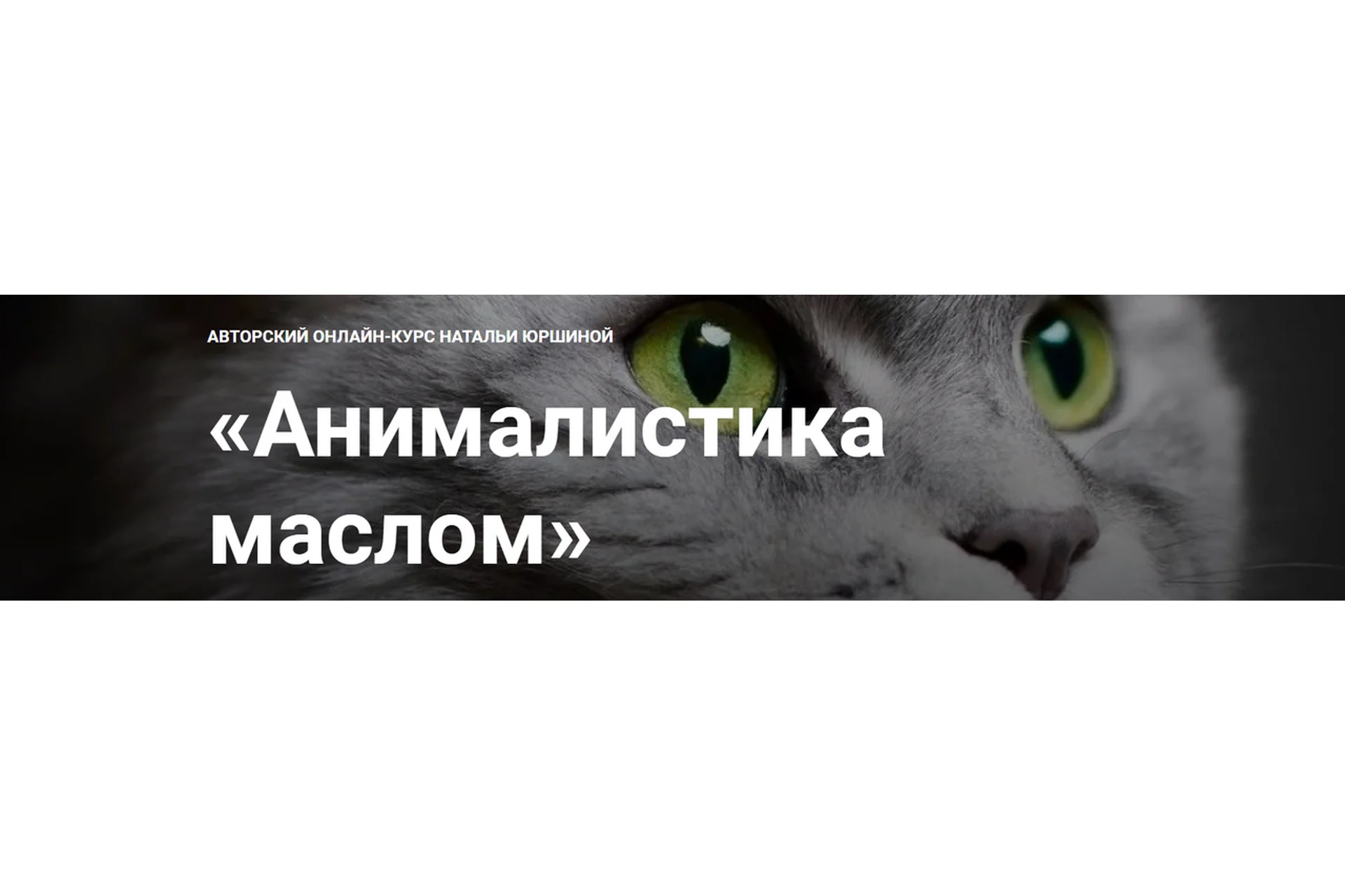 [NY school] Анималистика маслом. Тариф Максимальный  (Наталья Юршина), фото 1 из 1.