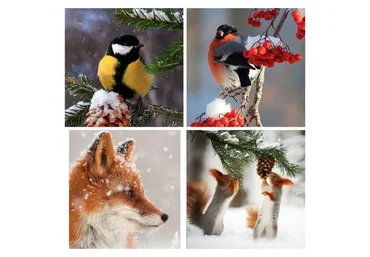 Курс «Зимний» (Ирина Шпакова)