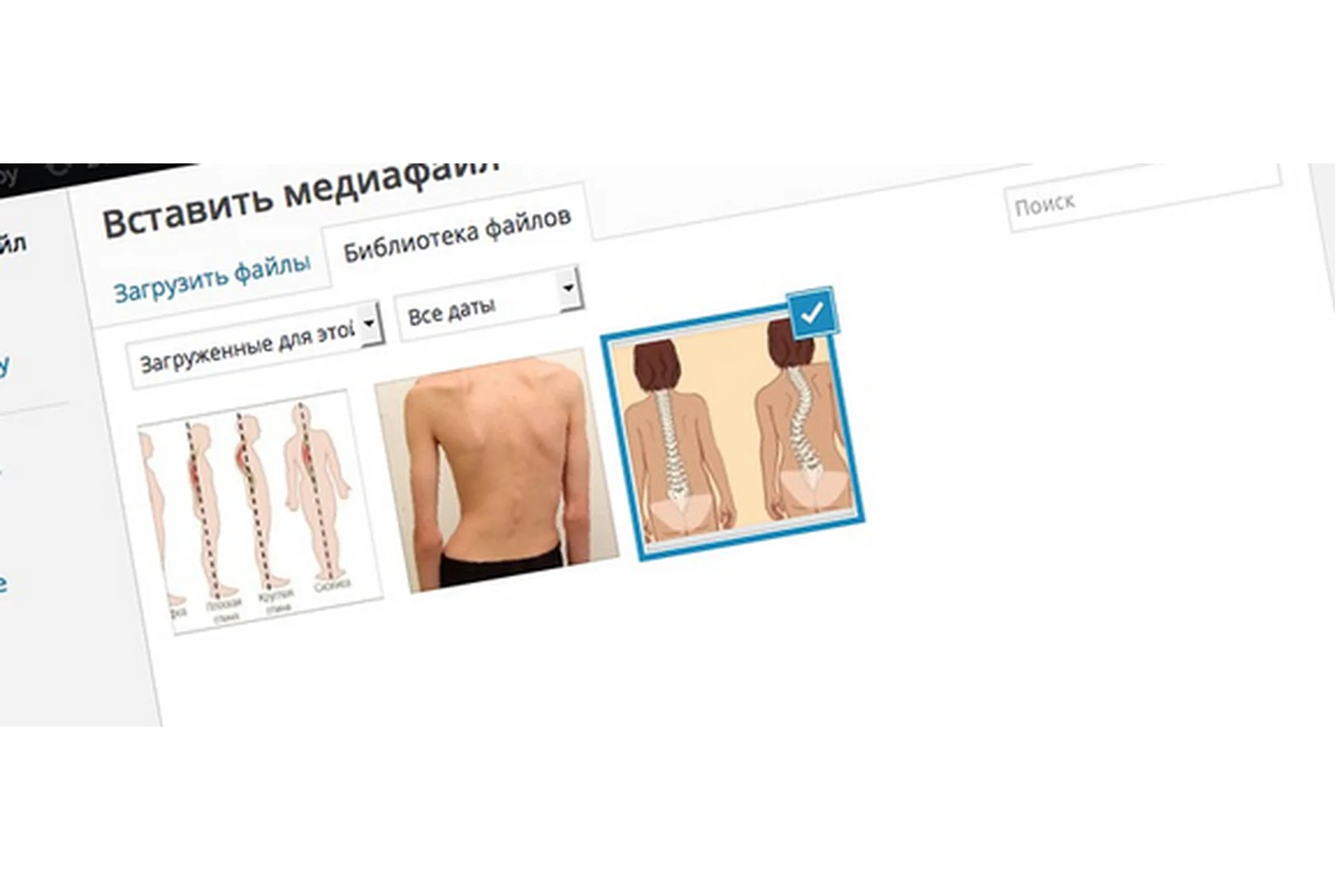 [WP] Easy Google Images, фото 1 из 1.