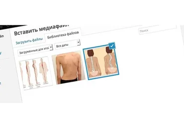 [WP] Easy Google Images