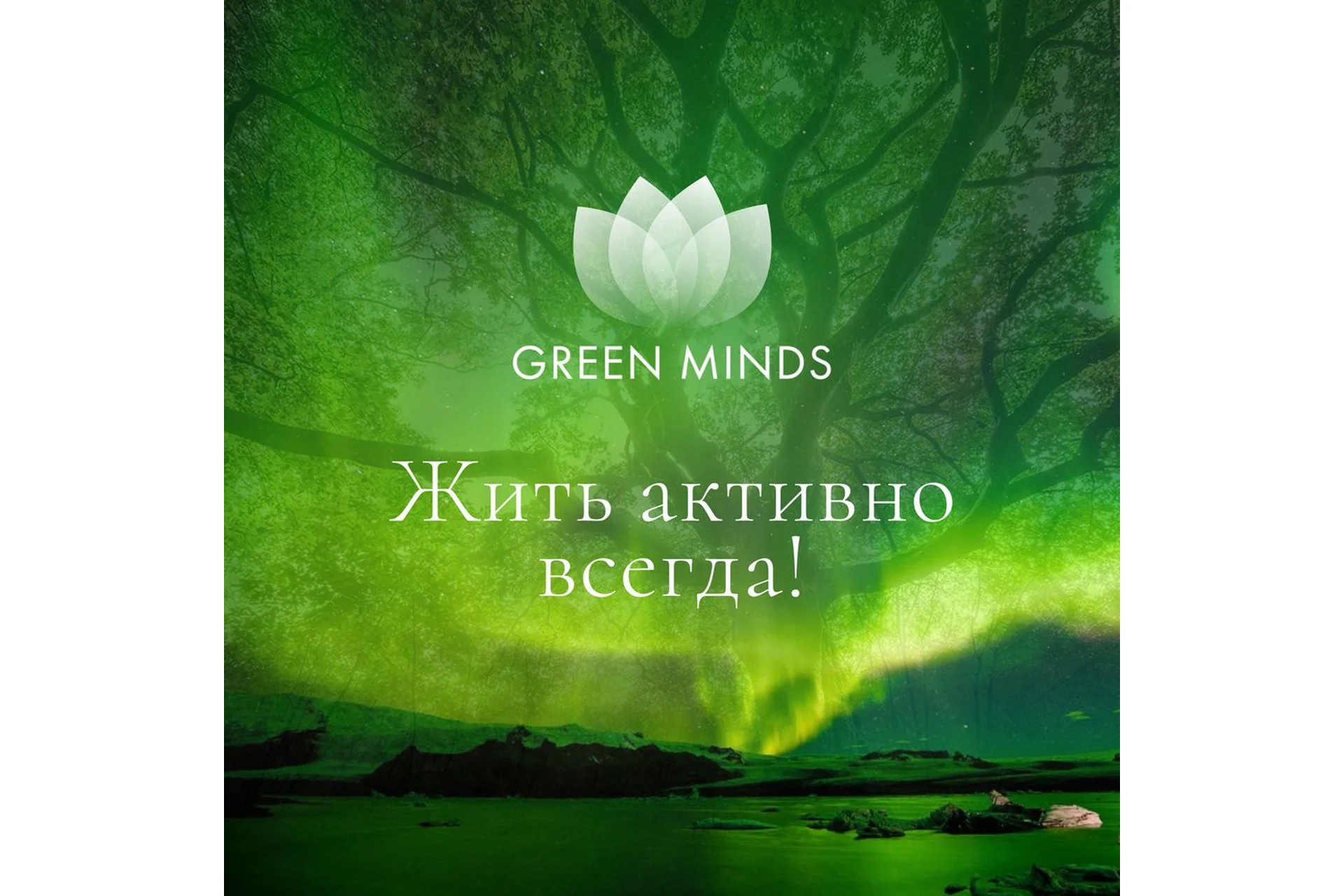 Нейромедитация GREEN MINDS «Жить активно всегда!» (Алексей Ситников), фото 1 из 1.