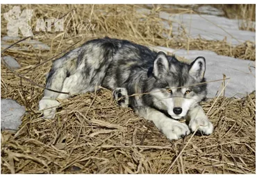 Реалистичный волк. Тариф VIP (Катя Лейт)