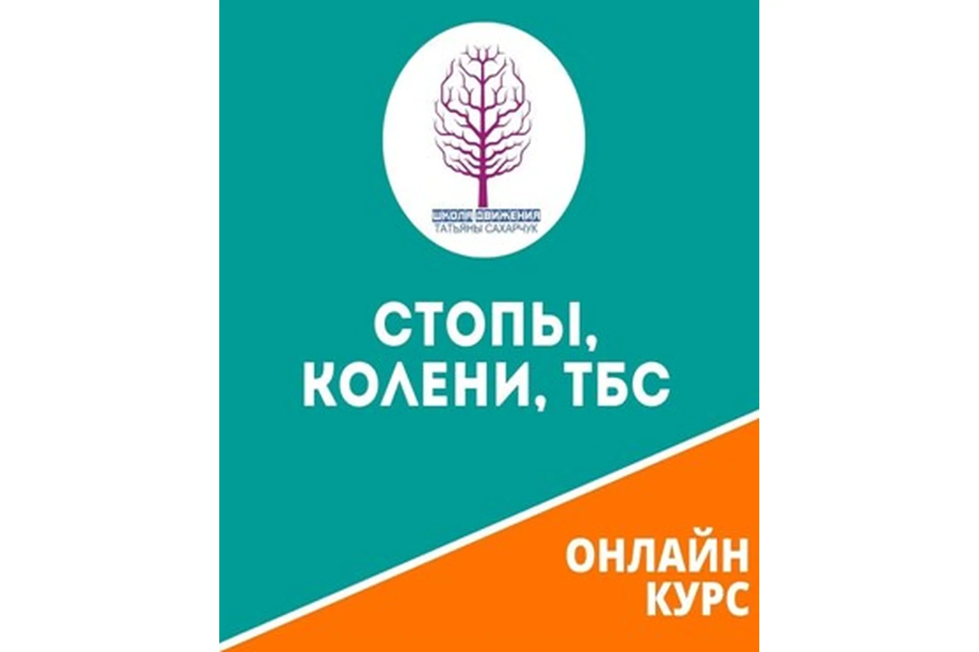 [Школа движения Татьяны Сахарчук] Стопы, Колени, ТСБ (Татьяна Сахарчук), фото 1 из 1.