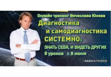 Диагностика и самодиагностика системно (Вячеслав Юнев)