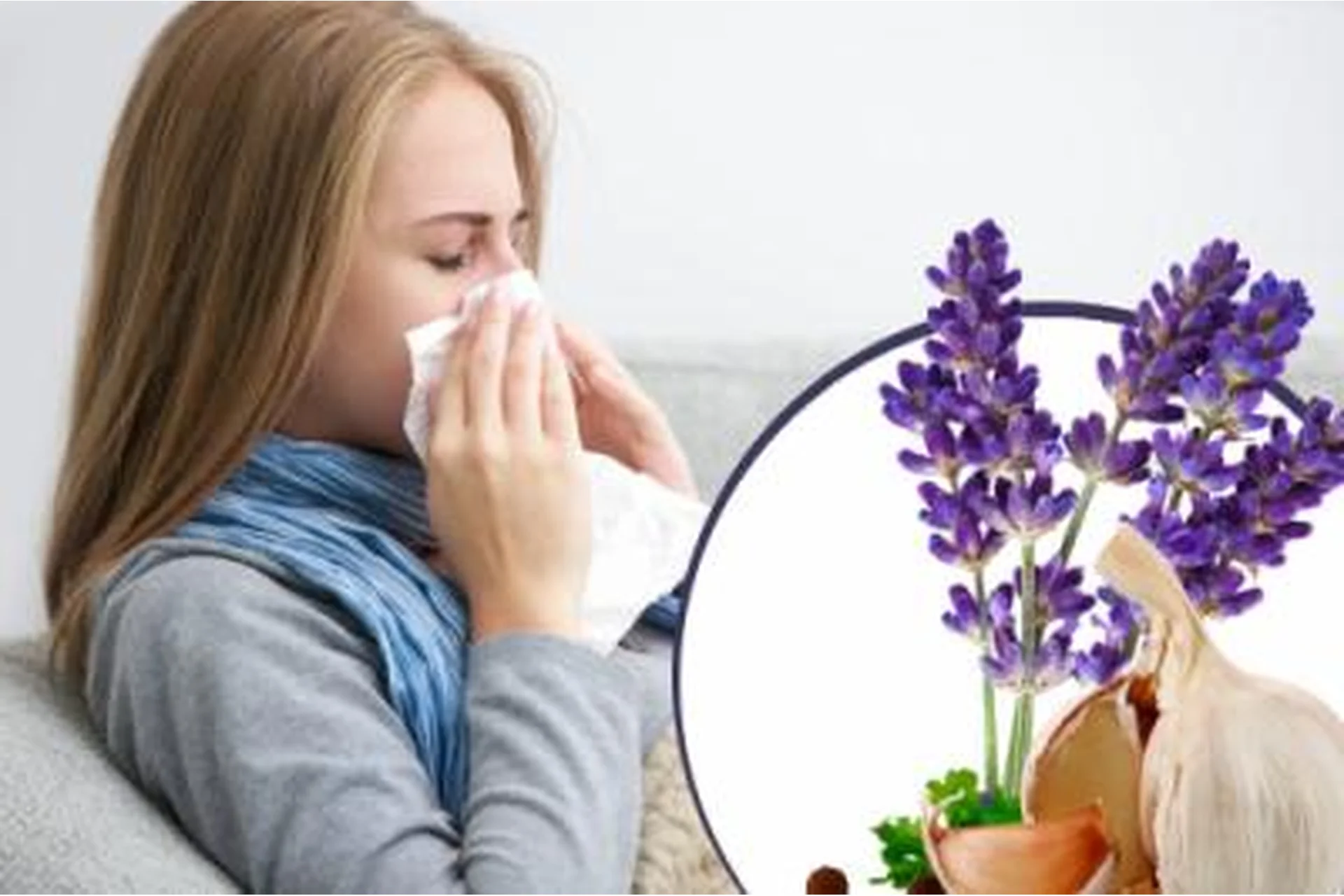 StopПростуда: как повысить иммунитет (Маргарита Левченко), фото 1 из 1.