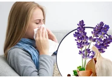 StopПростуда: как повысить иммунитет (Маргарита Левченко)