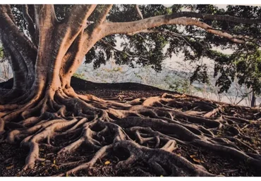 Исцеление Рода. Базовый: Обращение за помощью к Роду (Наталья Серебрякова)