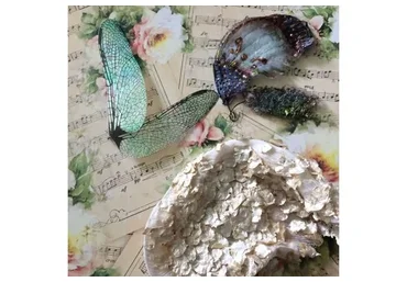 Крылья из перьев и не только (Николай Павлов)