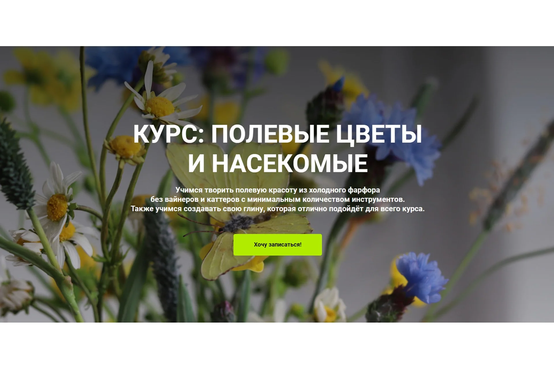 [La Florterra] Полевые цветы и насекомые. Базовый тариф (Любовь Мирошниченко), фото 1 из 1.