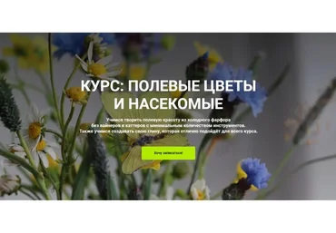 [La Florterra] Полевые цветы и насекомые. Базовый тариф (Любовь Мирошниченко)