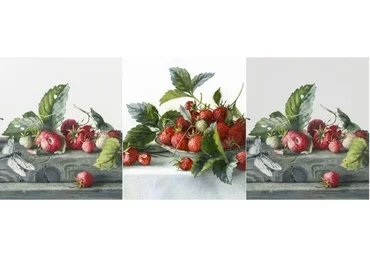 [lectoroom] Этюд с клубникой акварелью (Елена Базанова)