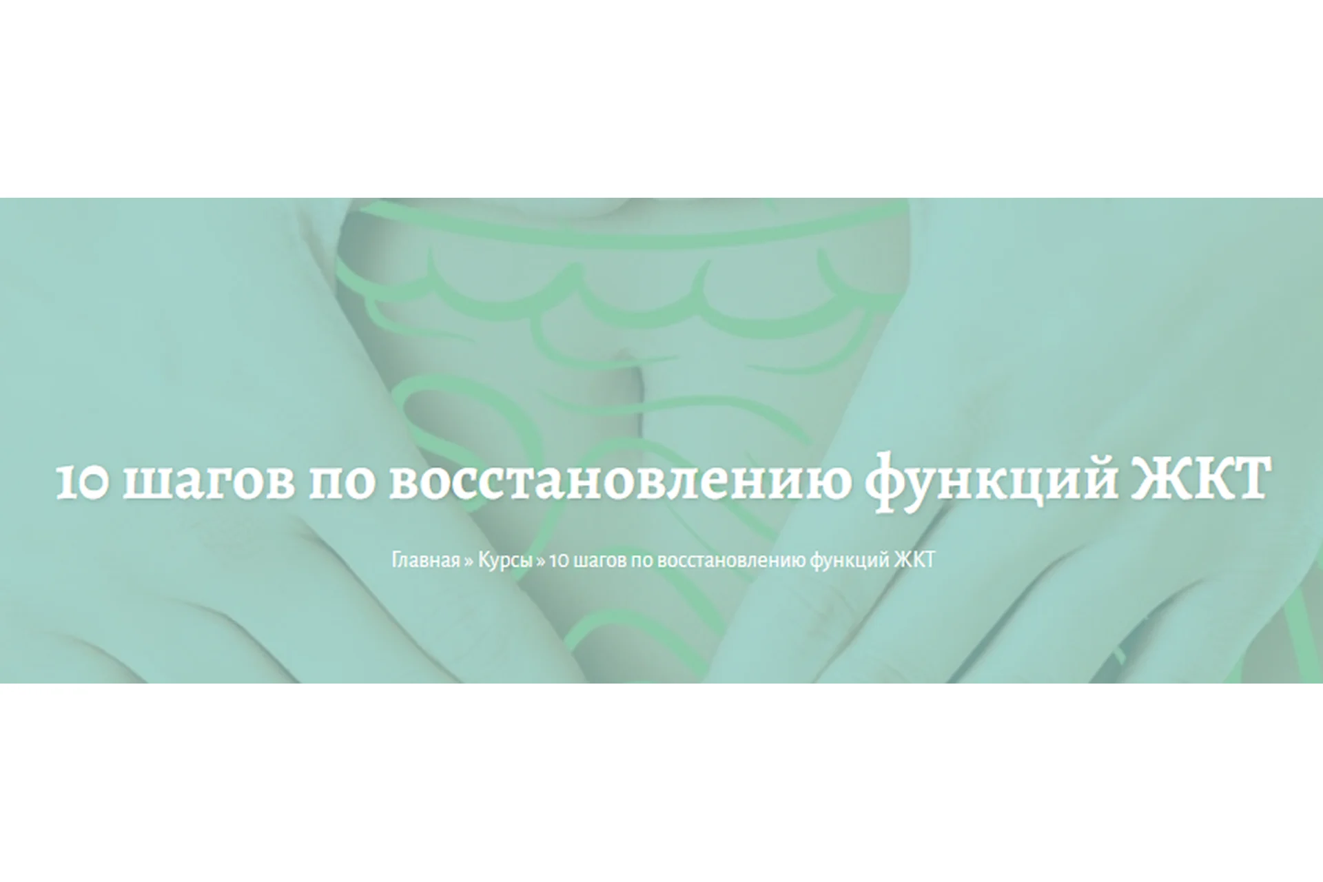 10 шагов по восстановлению функций ЖКТ (Елена Миргородская), фото 1 из 1.