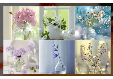 [Студия Живописи] Нежные натюрморты. Пакет минимальный. (Ольга Базанова)