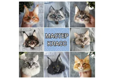 Варежки и броши Мейн-кун  (Марина Грубер)